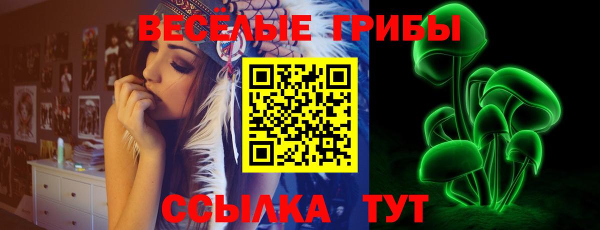 Городец  Галлюциногенные грибы Psilocybine cubensis  Вход с VPN 